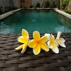 Gasthof Eka Bali, Ubud
